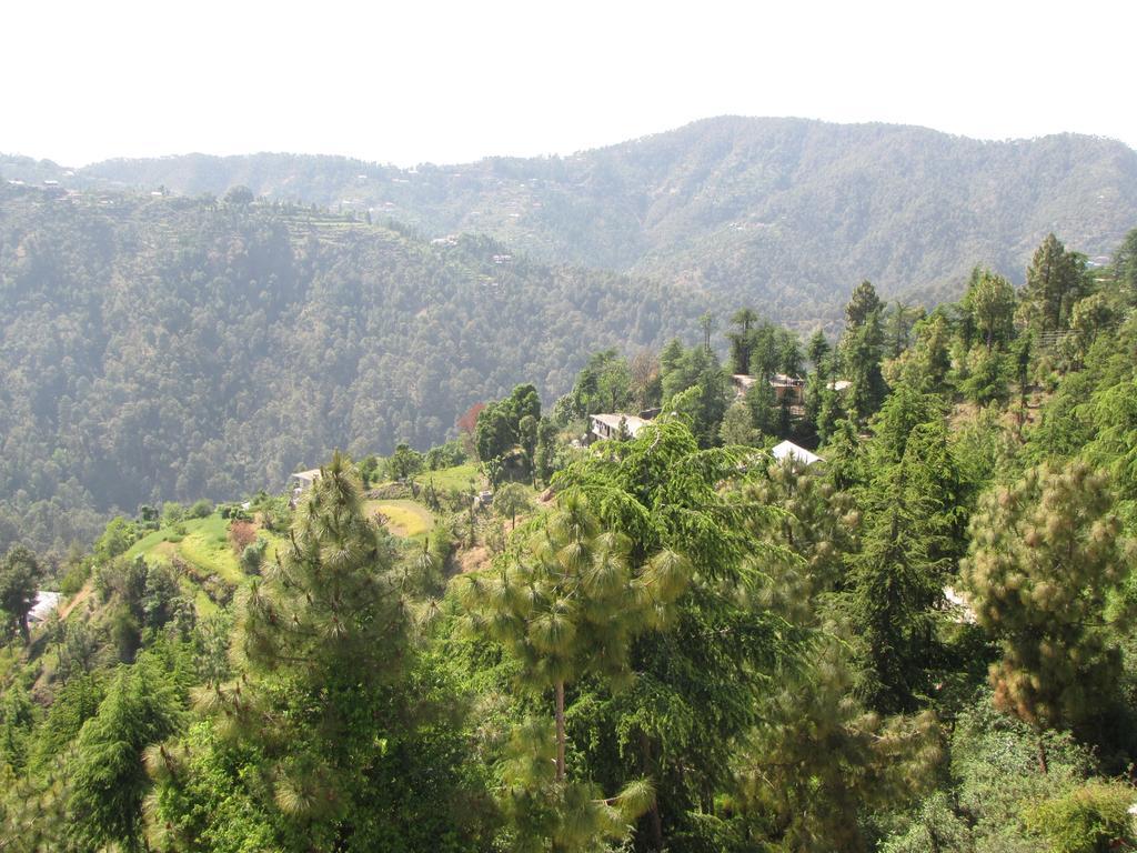 Shimla Nature Ville Exterior photo